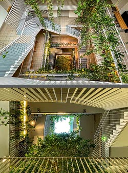 Stiegenhaus/Treppenhaus in einem Wohnhaus in Wien, &Ouml;sterreich